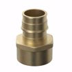 Picture of 2” F1960 x FIP Brass PEX Adapter, Bag of 6