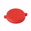 Picture of ABS Overflow Test Cap, Red