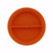 Picture of Test Plug for D50 Series Drains
