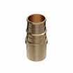 Picture of 1/2" F1960 Male Sweat Brass PEX Adapter, Bag of 25