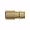 Picture of 3/4" F1960 x 1/2" Female Sweat Brass PEX Adapter, Bag of 25