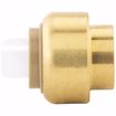 Picture of 3/4" PlumBite® Push On Cap, Bag of 1