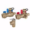 Picture of 1" F1807 Tankless Water Heater Valve Service Kit with Pressure Relief Valve