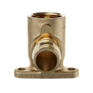 Picture of 3/4" F1960 x FIP Brass PEX 90° Drop Ear Elbow, Bag of 4