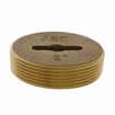 Picture of 2” Slotted Brass Cleanout Plug with 5/16” Tapped Hole