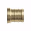Picture of 1-1/2" F1807 Brass PEX Plug, Bag of 10