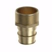 Picture of 1-1/4” F1960 x MIP Brass PEX Adapter, Bag of 6