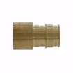 Picture of 1-1/4” F1960 Female Sweat Brass PEX Adapter, Bag of 8