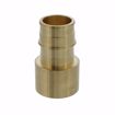 Picture of 1-1/2” F1960 Female Sweat Brass PEX Adapter, Bag of 12