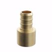 Picture of 1-1/4” F1807 Brass PEX Female Sweat Adapter, Bag of 5