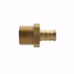 Picture of 1-1/4” F1807 x 1" MIP Brass PEX Adapter, Bag of 5