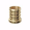 Picture of 1-1/4" F1807 Brass PEX Plug, Bag of 10