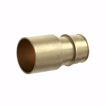 Picture of 1/2" F1960 x 3/4" Female Sweat Brass PEX Adapter, Bag of 25