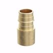 Picture of 1/2" F1960 x 3/4" Female Sweat Brass PEX Adapter, Bag of 25