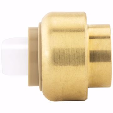 Picture of 1" PlumBite® Push On Cap, Bag of 1