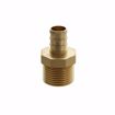 Picture of 1-1/2" F1807 x MIP Brass PEX Adapter, Bag of 5