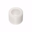 Picture of 2" F1960 PEX Expansion Ring with Stop, Bag of 5