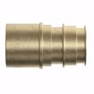 Picture of 1-1/4" F1960 Male Sweat Brass PEX Adapter, Bag of 8