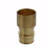 Picture of 1-1/4" F1960 Female Sweat Brass PEX Adapter, Bag of 8