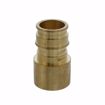 Picture of 1-1/4" F1960 Female Sweat Brass PEX Adapter, Bag of 8