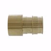 Picture of 2" F1960 Female Sweat Brass PEX Adapter, Bag of 6