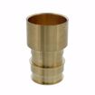 Picture of 2" F1960 Female Sweat Brass PEX Adapter, Bag of 6