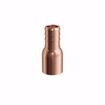 Picture of 1/2" F1807 Copper PEX Male Sweat Adapter, Bag of 100