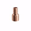 Picture of 1/2" F1807 Copper PEX Female Sweat Adapter, Bag of 90