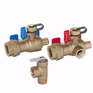 Picture of 1" F1807 Tankless Water Heater Valve Service Kit with Pressure Relief Valve