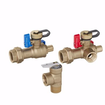 Picture of 3/4" F1807 Tankless Water Heater Valve Service Kit with Pressure Relief Valve