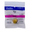 Picture of 1/2" PlumBite® Push On Cap, Bag of 1